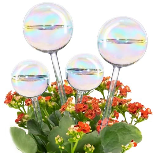 Tomorotec Glass Plant Watering Globes, Self Watering Spikes 2 Large+2 Small - color: Iridescent-2 Large+2 Small