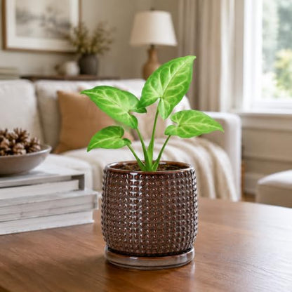 D'vine Dev Beaded Ceramic Pot with Saucer, 4 in, Stone Taupe, 27-C-Z-L - color: Stone Taupe, size: 4.3 Inch