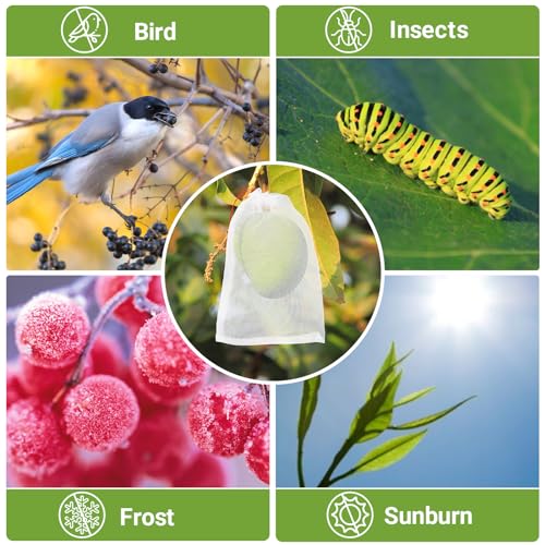 Fruit Bags for Fruit Trees, 100 PCS 6x10 Inch Fruit Protection Bags with Drawstring, Garden Netting Mesh Fruit Cover Bag for Grape, Tomato, Peach, Apple, Flower from Birds Bugs - size: 6"x10"/Pack of 100