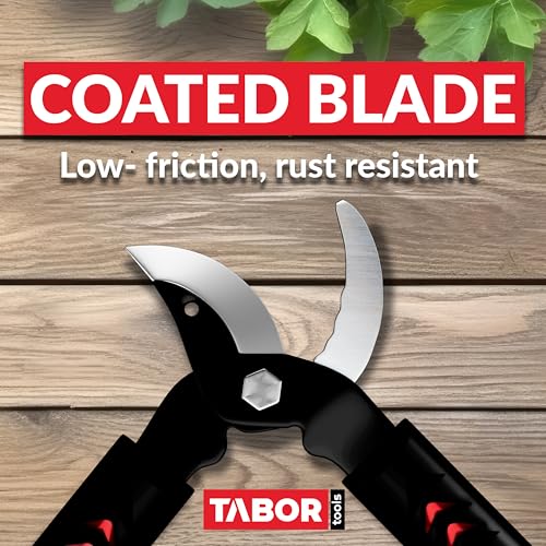 TABOR TOOLS GL18A Small Bypass Lopper, Short 20 Inch Tree Trimmer & Branch Cutter, Compact Tree Pruner with 1 Inch Clean Cut Capacity, Chops Branches with Ease - style: GL18A Small Bypass Lopper