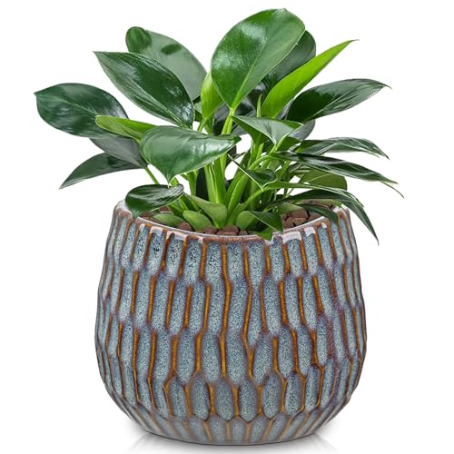 Oairse Small Ceramic Pots for Plants, 4.9 inch Blue Plant Pot Indoor with Drainage Ceramic Planters for Indoor Plants Succulent Planters Decorative Flower Pots for Cactus, Snake Plant, Herb - color: Blue, size: 4.9in