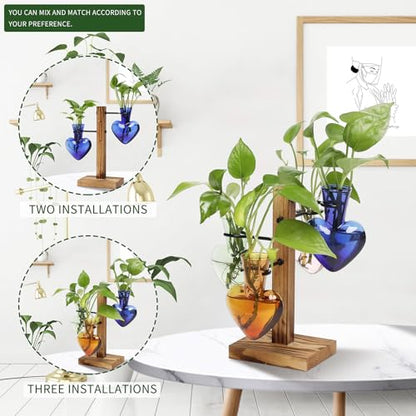 Plant Terrarium Propagation Stations with Wooden Stand - color: Color-01