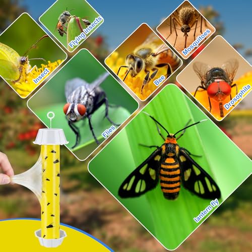 Qualirey 8 Pcs Sticky Fly Trap Stick with Hook, Novel-1, Yellow and Black - color: Yellow and Black, size: Novel-1