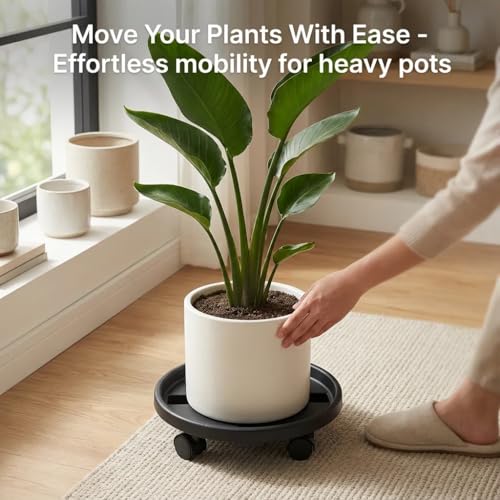 Rolling Plant Stand Outdoor 3 Pack 14 Inch Plant Caddy with Wheels, Black - color: Black, size: 14 inch