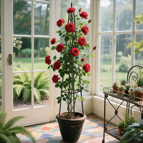 Alisisfores 5.2 FT Obelisk Trellis for Climbing Plants, Black - size: 5.2 Ft