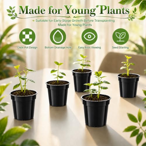 240 Pack 2 Inch Nursery Pots, Mini Plastic Plant Pots for Seedlings(Black) - color: Black