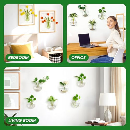 DomeStar Set of 6 Wall Vases, Wall Mounted Propagation Station - size: 6pcs