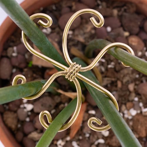 5Pcs Monstera Plant Stem Support Hook-2.75x2.75in Plant Stem Holder - size: 2.75 x 2.75 inches