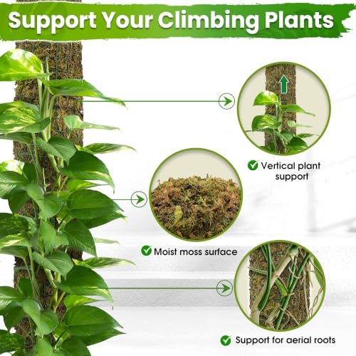 DUSPRO All-in-One DIY Moss Pole Kit for Climbing Plants - size: MOSS POLE DIY KIT