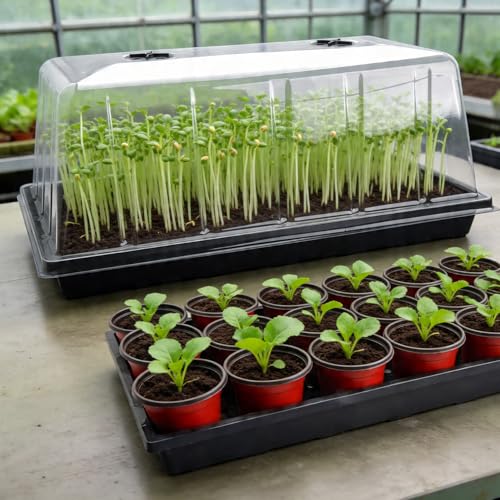 5 Pack 1020 Plant Tray with Tall Dome (7.3 inch), Plastic Flat Seed Starter Tray with Humidity Domes, Heavy Duty 1020 Trays with Lid, Durable Carrying Seedling Starting Tray for Planting (Black) - color: Black, size: TP1020-5P+Domes