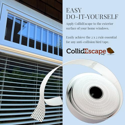 COLLIDESCAPE Spiderweb Clear BirdTape for Windows (3/4" x 40' - Covers 2 to 3 panes) | Window Bird Tape Decals to Prevent Bird Strike Prevention for Glass | Clear - size: 3/4 x 40'