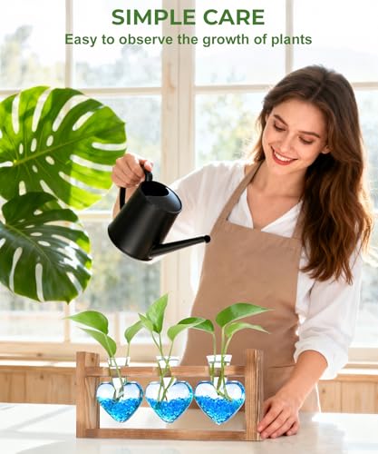 Nacome Plant Terrarium with Wooden Stand, 3 Heart Bulb Glass Vases - color: Transparent