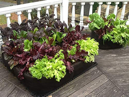 3ft X 3ft Victory 8 EZ-GRO MD SQ Raised Bed AeroFlow Proprietary Fabric Grow Your OWN No Assembly - size: 3x3 Feet