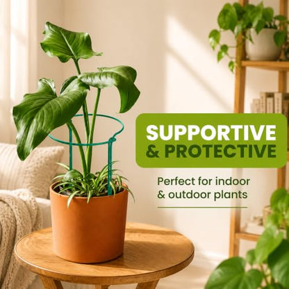 6 Pack Tall Plant Support Stakes – Peony Cages and Supports 10"W x 16"–32"H - size: 6 Pack (up to 32")