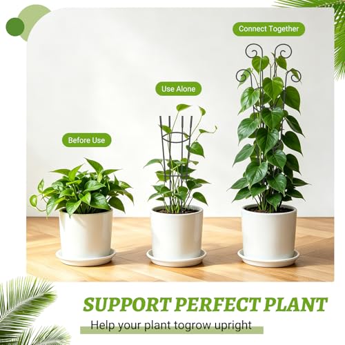 Plant Trellis 2 Pack Trellis for Potted Plants 29.96 in Trellis for Climbing Plants Indoor Plant Support Expandable Metal Monstera Plant Support for Pothos Ivy with Plant Ties - size: 29.96in, 2P