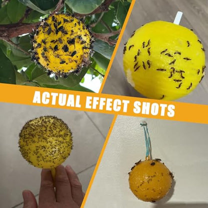 Sticky Fruit Fly Traps Indoor Outdoor, 6pc Yellow Hanging Ball Bug Catcher - color: Yellow with base