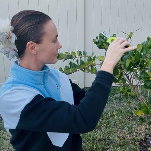 4 Pack Pruning Shears 6.5 Inch Stainless Steel Garden Scissors - color: Orange Green