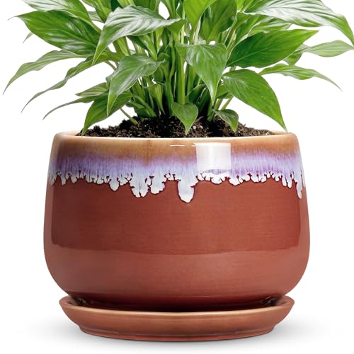 Ceramic Pots for Plants 7 Inch - Ceramic Planters for Indoor Plants, Indoor Plant Pots with Drainage and Saucer, Decorative Round Flower Pot, Garden House Room Decor, Plant Gifts, Red-Purple - size: 7 Inch, style: Red-purple