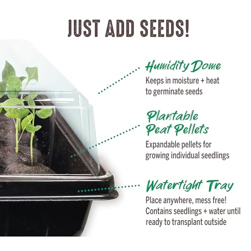 Jiffy Seed Starter Tray Kit, Self-Watering, Seedling Tray, 2 Pack - size: 2 Pack