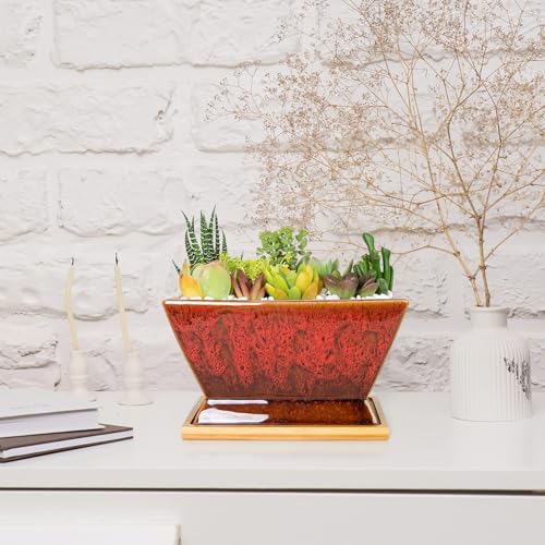 ARTKETTY Succulent Pots - 7 Inch Large Plant Pots with Drainage Tray - color: Red With Tray