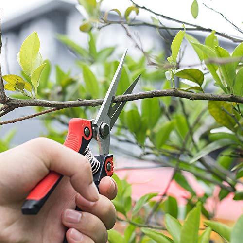 WYF Pruning Scissors, Professional Garden Shears - Straight Stainless Steel Blades - Sharp Gardening Hand Pruner for Garden Harvesting Fruits, Vegetables, Trimming Flowers and Plants, 8.1IN(Red)