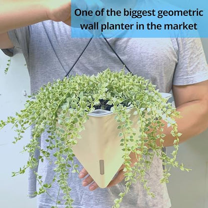 LaLaGreen Wall Planters for Indoor Plants (12in, 4 Pack) Hanging Planter - color: White X 4 Pack