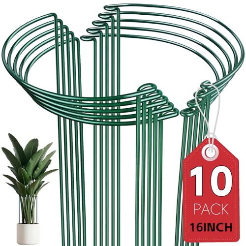 Thealyn 10 Pack Plant Support Stakes, 10" x 16" Peony Cages and Supports - size: 10Pack 10"x16"