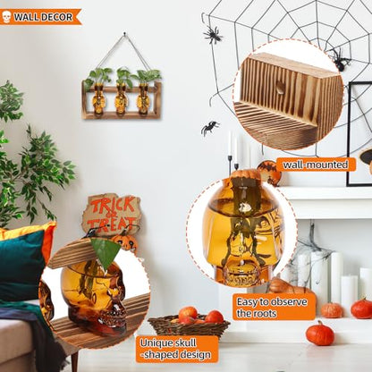 Plant Terrarium Propagation Stations Skull Planter Vase Skulls Decor - color: Amber