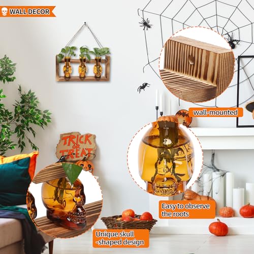 Plant Terrarium Propagation Stations Skull Planter Vase Skulls Decor - color: Amber