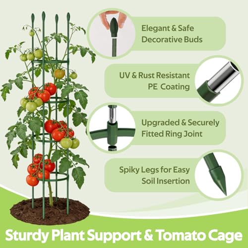 2 Pack Tomato Cages for Garden - Heavy Duty Tomato Trellis for Climbing Plants Vines Outdoor & Indoor - 63 Inch Adjustable Tall Tomato Cage Plant Support Stakes for Pots Raised Garden Bed - color: Green - 2 Pack