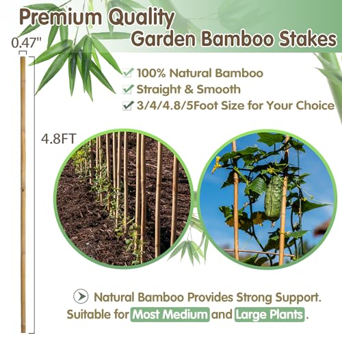 Bamboo Stakes,4.8FT Natural Bamboo Garden Stakes,BOVITRO 20Pcs Plant Stakes - size: 57.6 Inches, Pack of 20