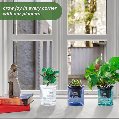 2PCS Self Watering Planters 4.71 Inch Self Watering Pots for Indoor Plants, African Violet Pots with Wick Rope, Flowers, Succulents, Herb, House Plants - color: Transparent