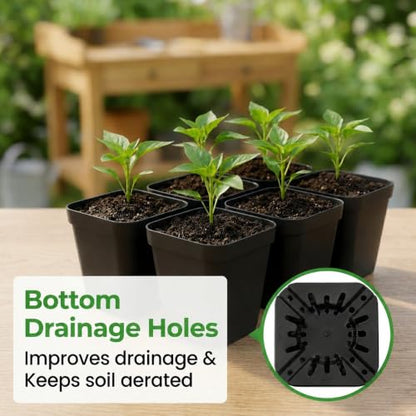 5 Pack Plastic Seed Starter Tray with 60pcs 3.5 inch Nursery Pots - size: Thick Trays+Square Pots-5P