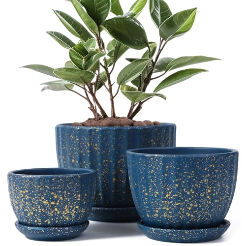 Ceramic Plant Pots with Saucers, Round Blue Flower Pots for Indoor Plant - color: Blue With Dot-standard Size