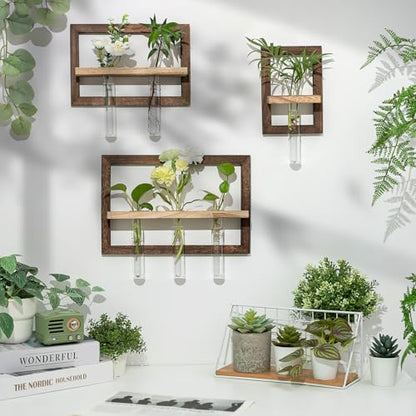 Wall Propagation Station Set with Glass Tubes