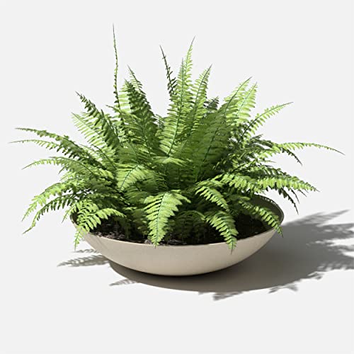 Veradek Mason Series Lane Bowl - Large Outdoor Bowl Planter - color: Sand, size: 8"H x 32"DIA