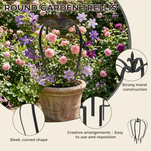 2 Pack 16.1" Garden Obelisk Trellis for Climbing Plants Outdoor