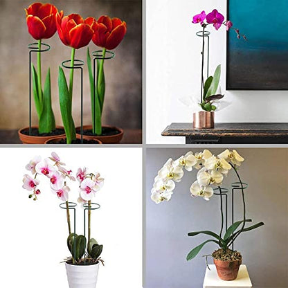 HiGift 10 Pack 17 inches Plant Support Plant Stakes with 20 Pcs Plant Clips, Metal Garden Single Stem Flower Support Stick Plant Cage Support Ring for Amaryllis Orchid Peony Rose Tomato - size: 17 Inch-10 Pack