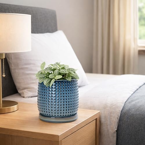 D'vine Dev Beaded Ceramic Pot with Saucer, 4 in, Ocean Teal, 27-C-Z-8 - color: Ocean Teal, size: 4.3 Inch