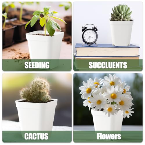 80 Pcs Nursery Pots 4 Inch, Plastic Seed Starting Pot with Drainage Holes, Small Sturdy Seedling pots for Planting, Succulents, Transplanting, Cuttings (White) - color: White, size: 4 Inch-80P