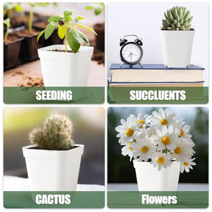 80 Pcs Nursery Pots 4 Inch, Plastic Seed Starting Pot with Drainage Holes, Small Sturdy Seedling pots for Planting, Succulents, Transplanting, Cuttings (White) - color: White, size: 4 Inch-80P