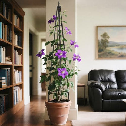 Alisisfores 6 FT Obelisk Trellis for Climbing Plants, Black - size: 6 Ft