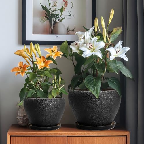 10+8+6 Inch Ceramic Planter, Ceramic Plant Pots, Relief Black - color: Relief Black