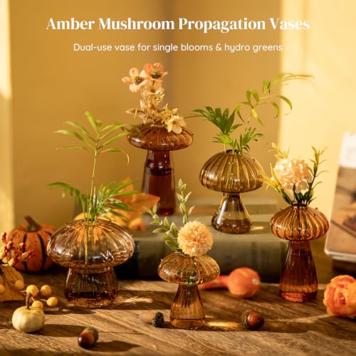 Glasseam Mushroom Plant Propagation Station, Small Glass Propagation Vases - color: Amber, size: 5