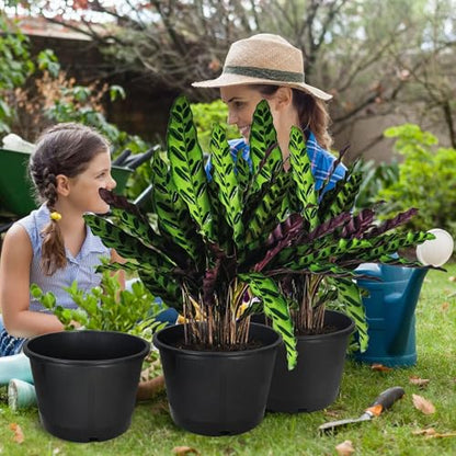 Plant Nursery Pot 10-Pack 5 Gallon Short Plastic Garden Planter Pots Flower Seedling Injection Molded Container Seed Starting Pot Set for Indoor Outdoor Plants Seedlings Vegetables Black - size: Short 5 Gallon