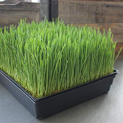 Handy Pantry 10-Pack 1020 Garden Growing Trays with Drain Holes - 10" x 20" - size: 10 Pack, style: With Drain Holes