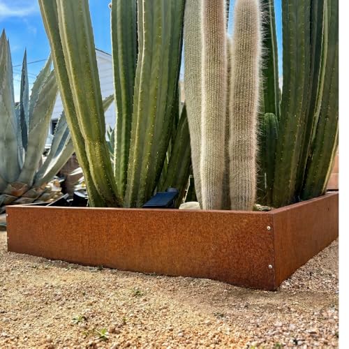 Corten Steel Outdoor Planter Box, Rustic & Modern Farmhouse Design, Large Metal Garden Bed for Commercial & Residential Use (48in x 48in x 12in Open Bottom) - size: 48in x 48in x 12in