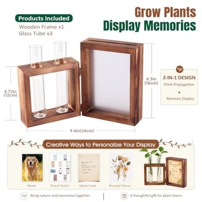 Plant Propagation Station with Wooden Picture Frame, Desktop Home Decor