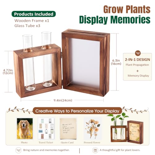 Plant Propagation Station with Wooden Picture Frame, Desktop Home Decor