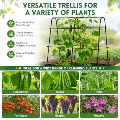 FOLLOOK Cucumber Trellis for Raised Garden Bed, 48x48inch, Black - color: Black, size: 48x48inch